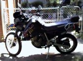 1999 Kawasaki KLR 650 photo